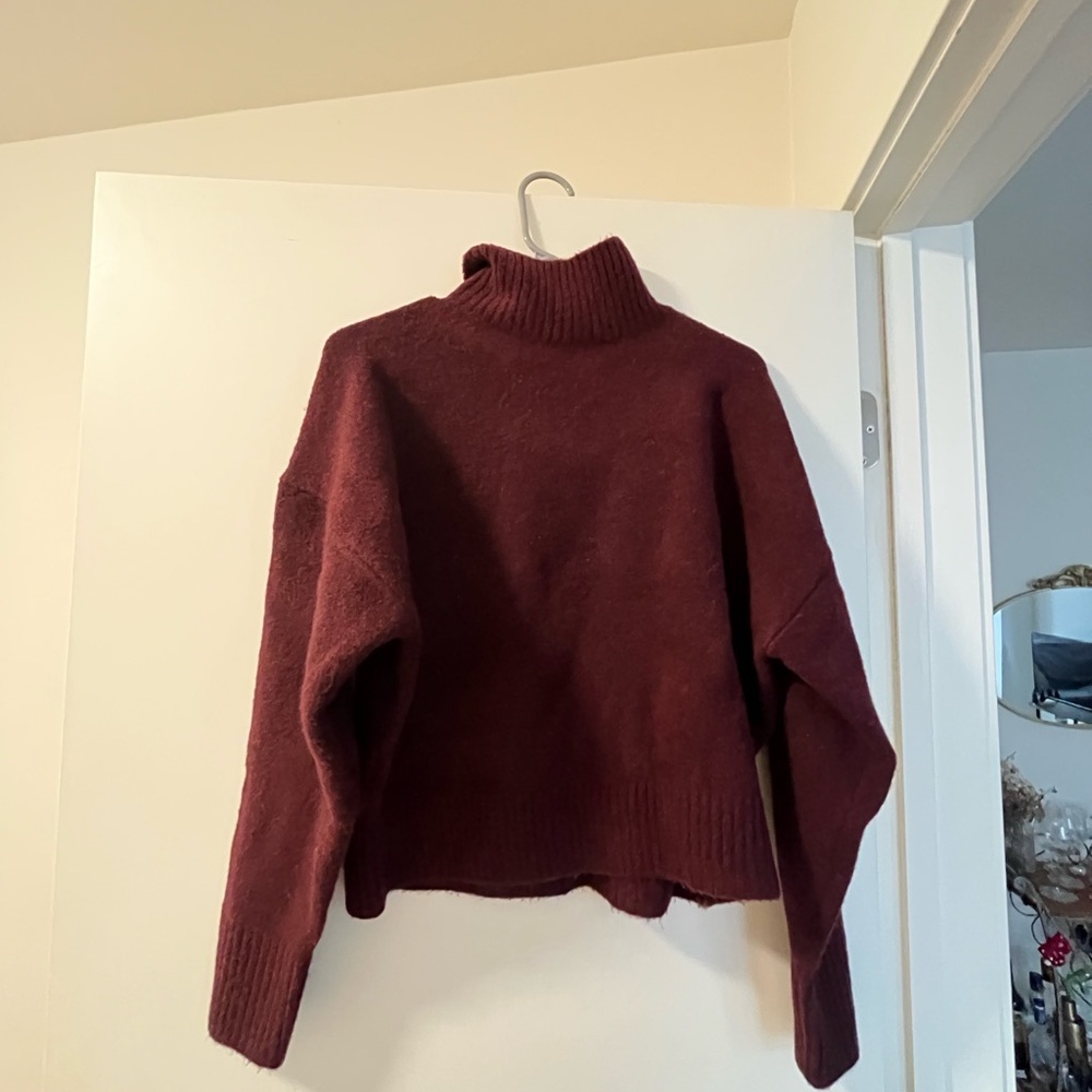 Zara Deep Red Turtleneck Sweater